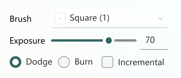 Tool options for dodge/burn tool